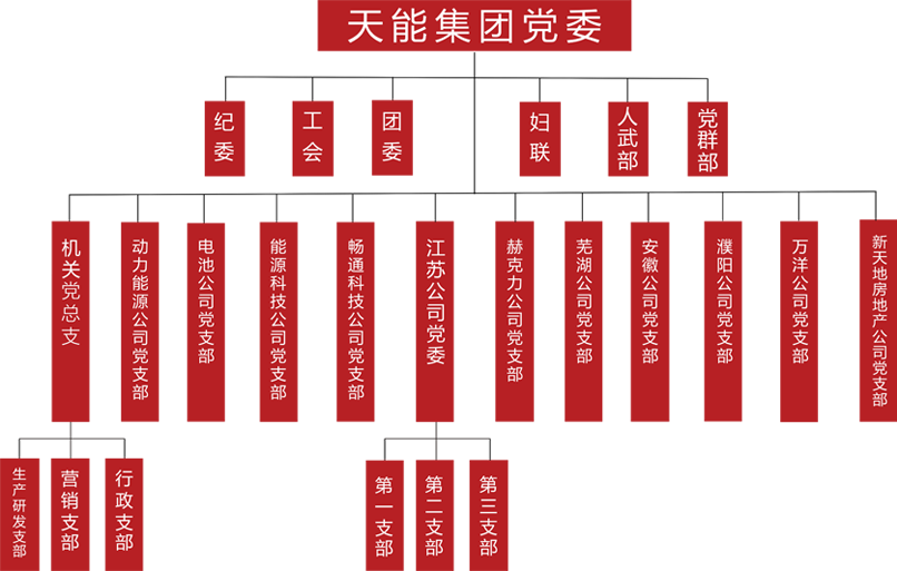 ng南宫建团党委组织架构